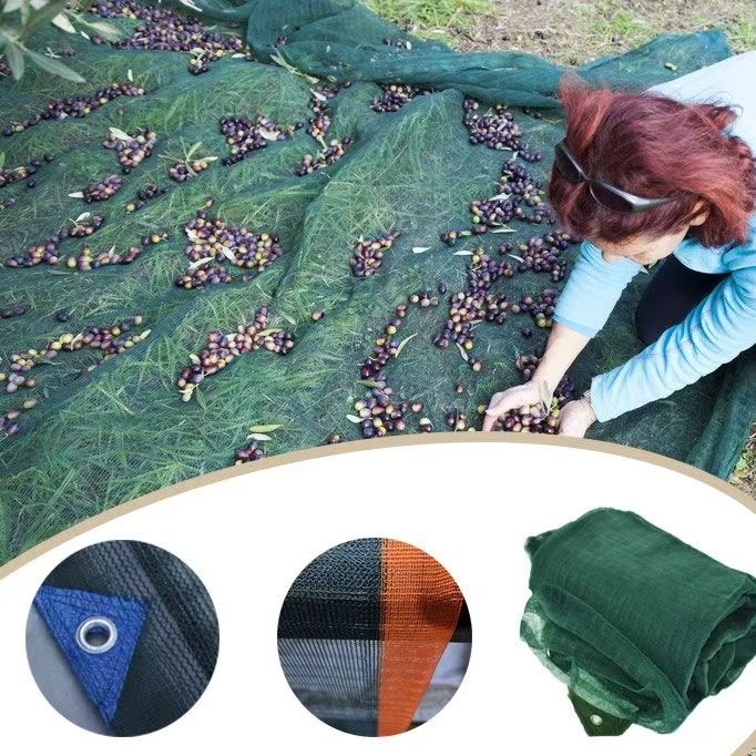 Olive Harvest Net